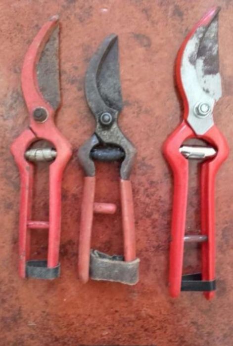 Tesouras de Poda de Árvores