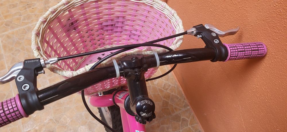 Bicicleta menina