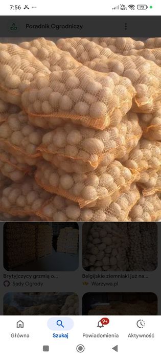 Ziemniaki Denar pyszne dowóz