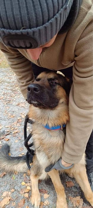 Dragon wspanialy kompan pieszych wycieczek