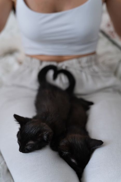 Kokosik i Śliweczka do adopcji