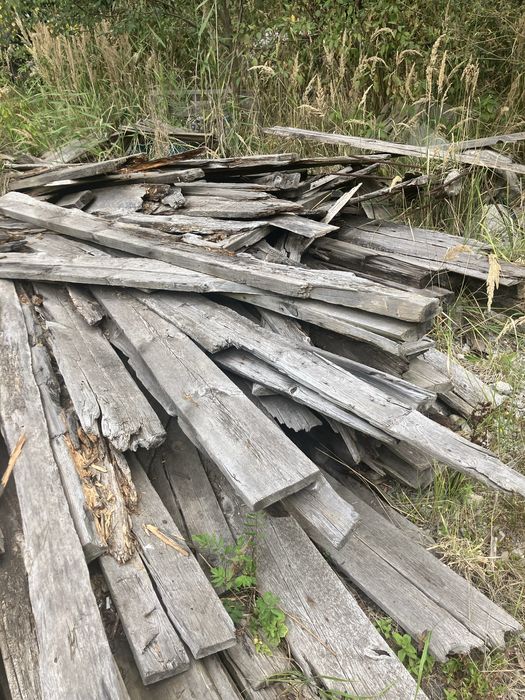 Drewno opal za darmo