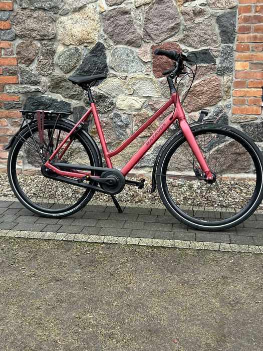 Rower Batavus Dinsdag  Dn7 Nowy