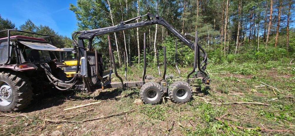 Wycinka drzew za materiał drzewny