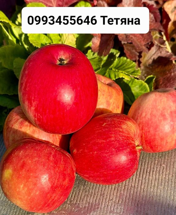 Яблука різних сортів