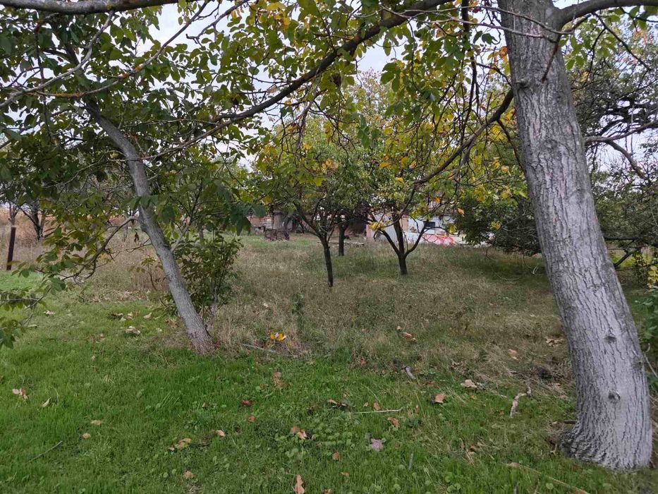 ПРОДАЮ 2 ділянки 50 соток С.ВІЙСЬКОВЕ Абельханова Дніпропетровська обл
