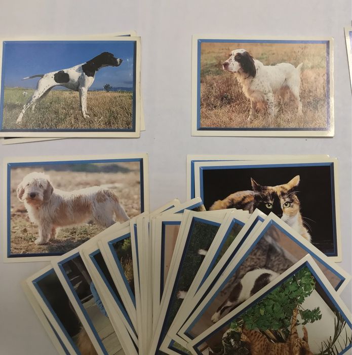 Coleção Cats & Dogs - Panini - Cromos