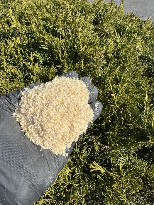 Żwirek pellet 25kg drewniany sosnowy dla kota krolika