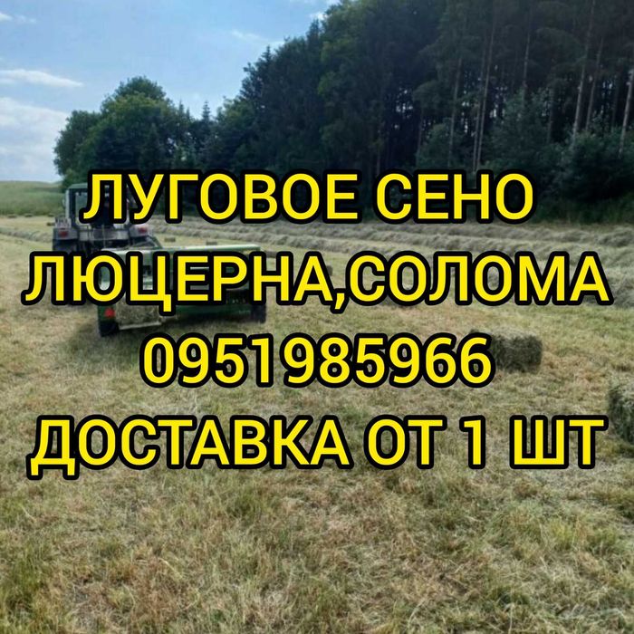 ‼️Сено в тюках мешках с доставкой, сіно овсяное и др в корм, декор‼️