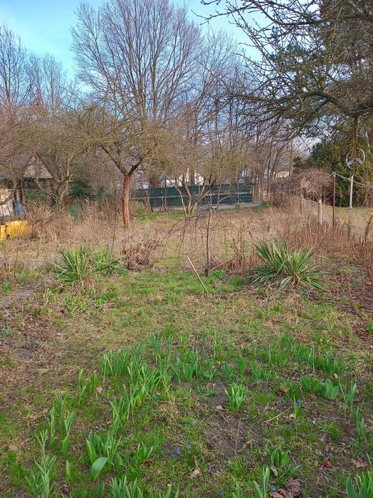 Sprzedam ogródek działkowy ROD 300 m² Grodzisk Maz.  na terenie ROD " Mazowiecki Sad " ul. Bałtycka. - View 5