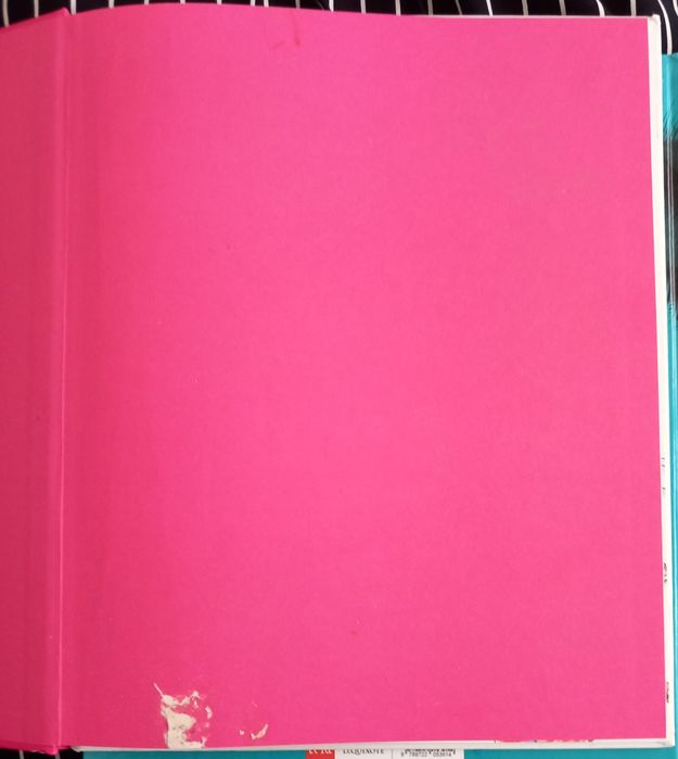 Livro Fancy Nancy - portes incluídos