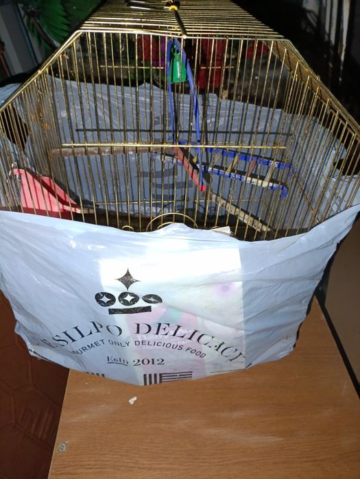 Клетка для птиц с кормом