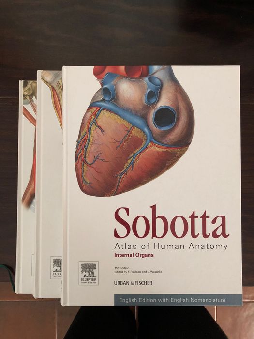 Sobotta Atlas Anatomia Humana