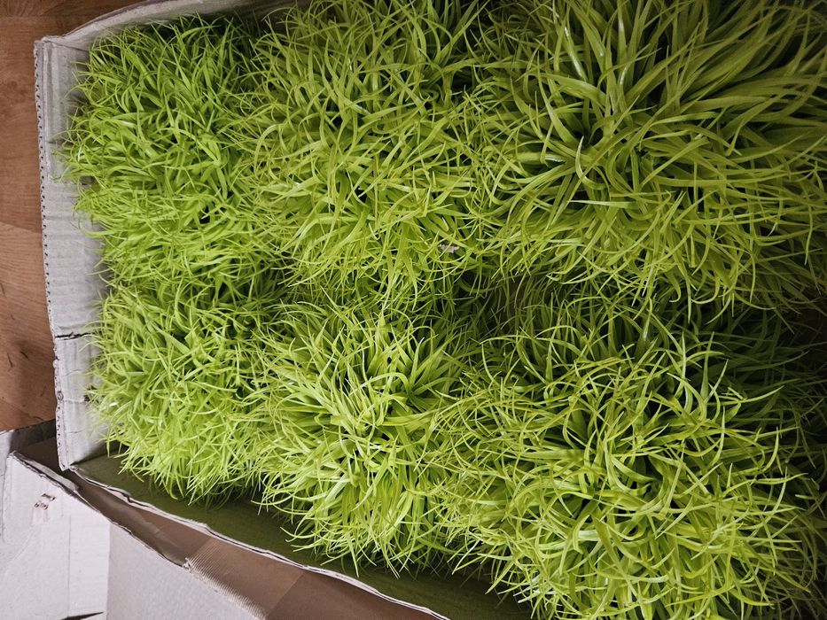 Sztuczna trawa dekoracyjna kulki 20 cm