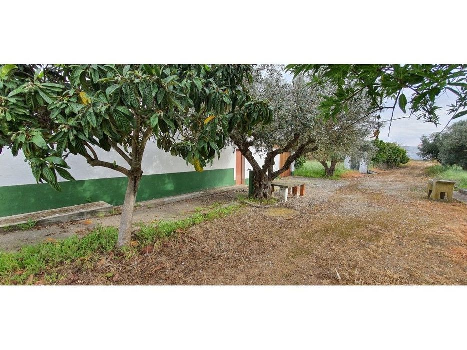 Quinta com 25.000 m2 em Reguengos de Monsaraz