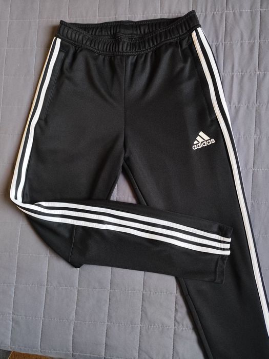Чоловічі спортивні штани adidas