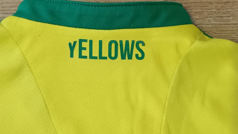 Norwich City 2016-17