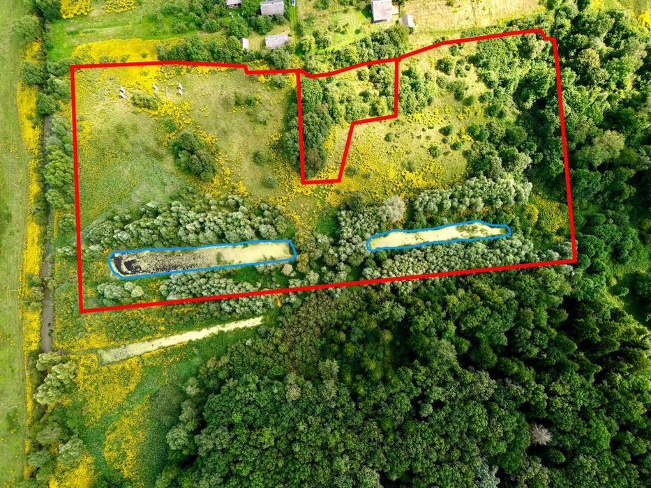 Продаж ділянки 2.1 га. з озерами та приляганням до лісу