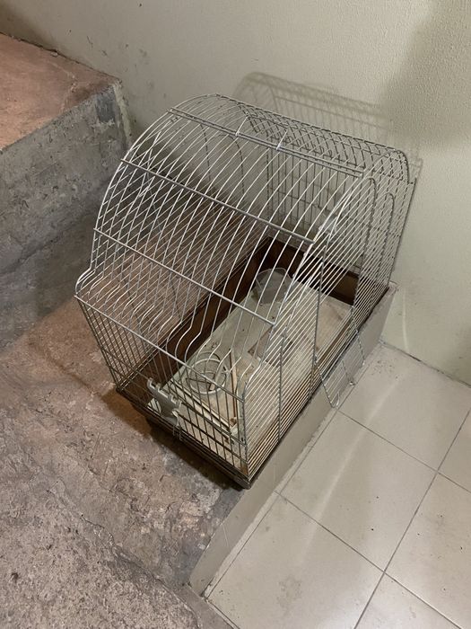 Клетка для вашего питомца.