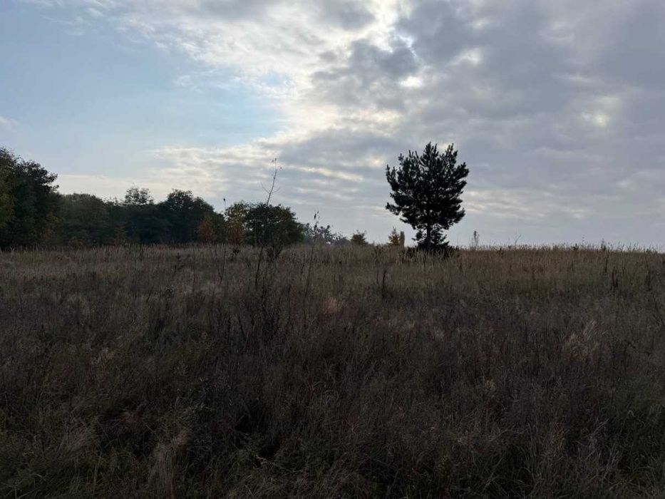 Продаж ділянки 27,5сот під забудову.Двохфасадна.Ліс.Світло поруч.ID:41