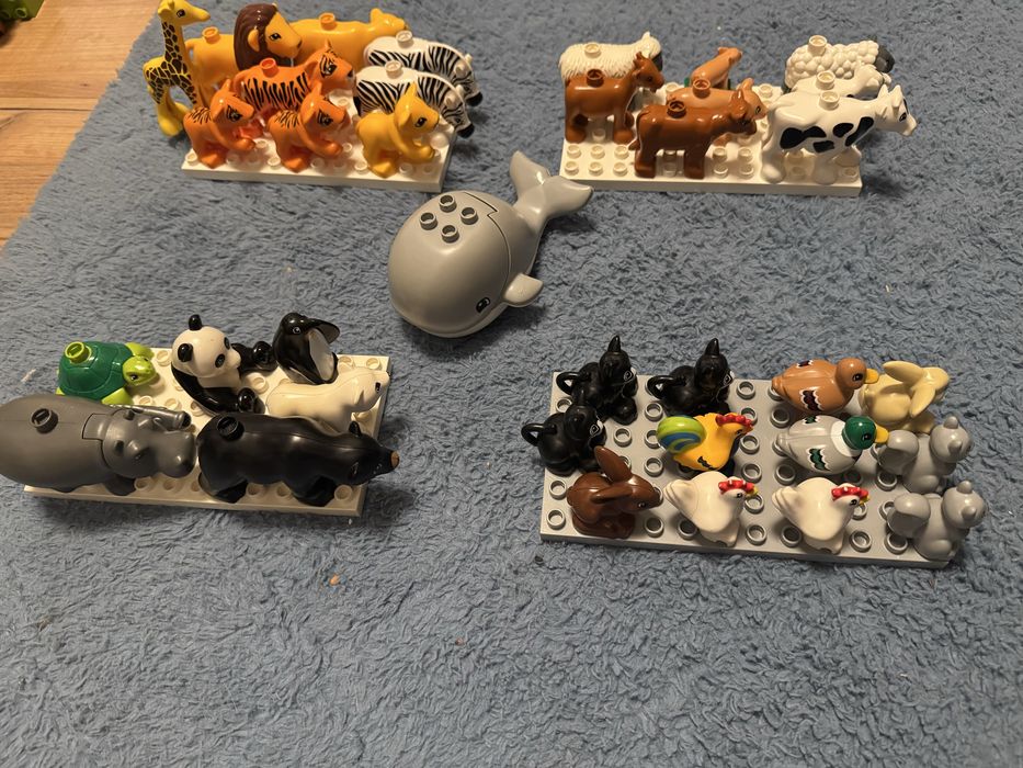 Lego Duplo Zwierzeta oryginalne