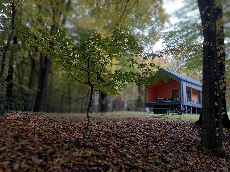 Лісовий ЕКО будинок подобово для відпочинку святкування Сауна на дрова