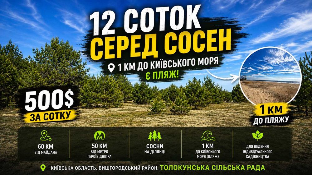 Толокунь • 12 соток • сосни • Київське море • 50 км від Києва