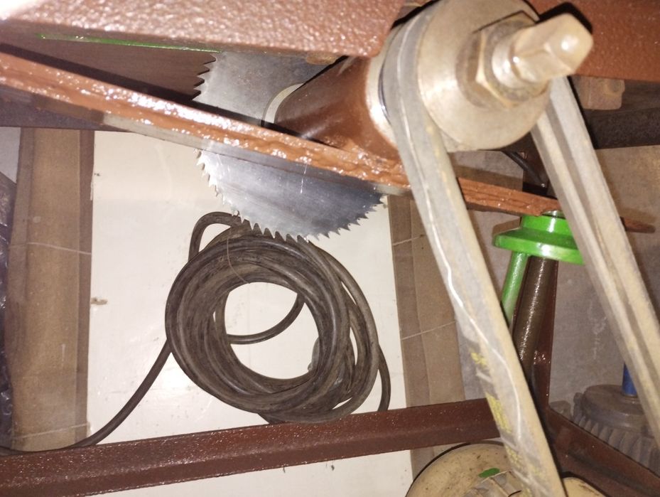 Piła stołowa (krajzega)