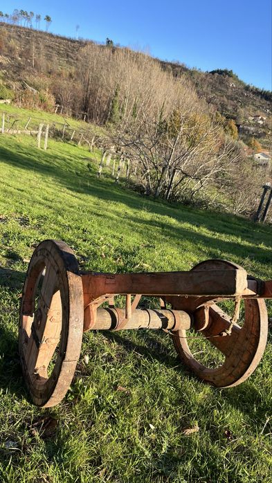 Carro de bói, reliquia antiga