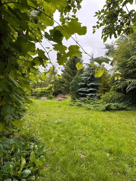 Продаж будинку Пустомити