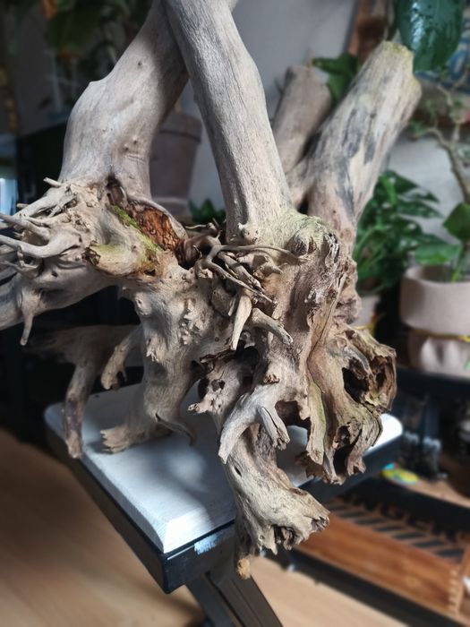 Korzeń do akwarium lub terrarium