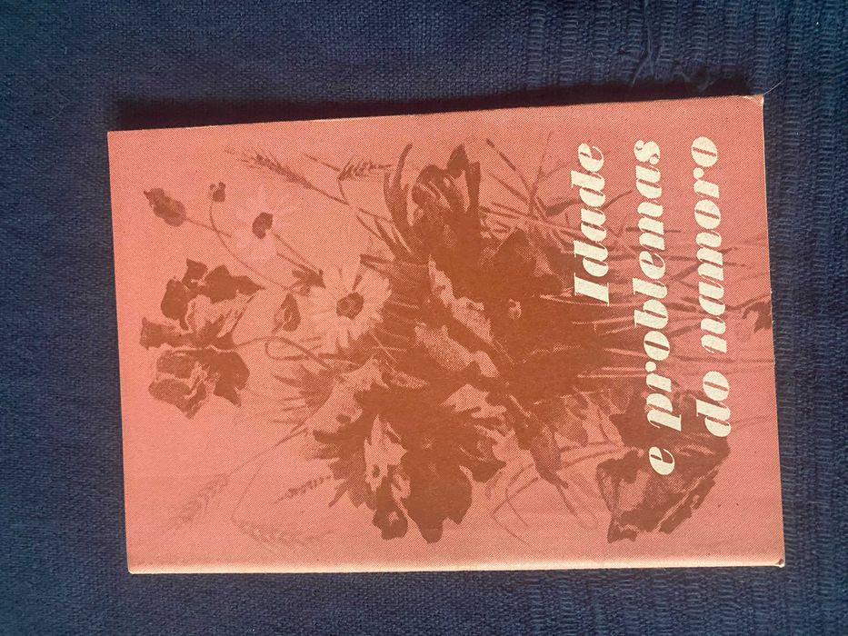 livro idade e problemas do namoro