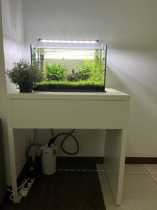 Aquario com menos de 1 ano de uso