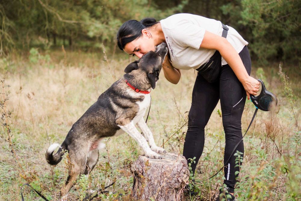 10 letni Salto do adopcji!