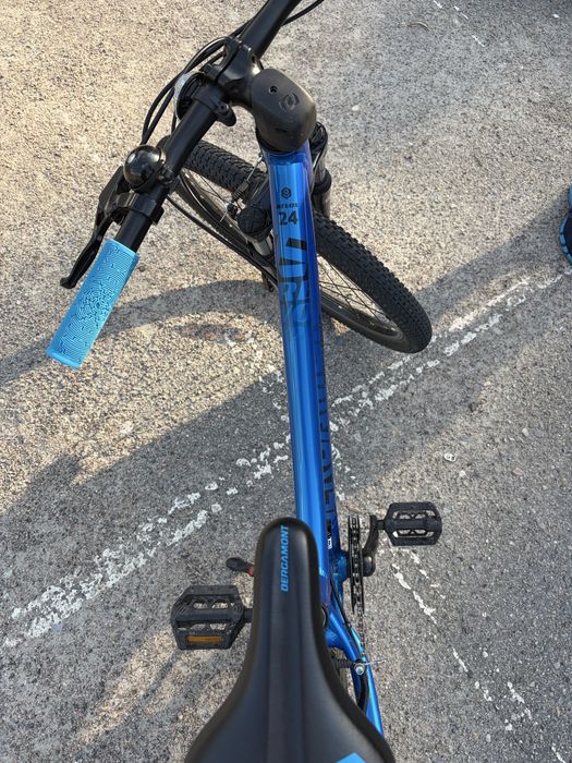 Bergamont Revox 24