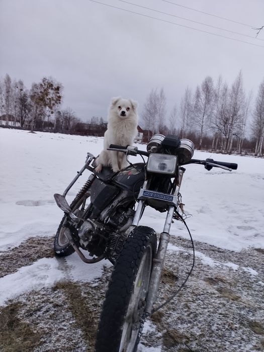 Продам мотоцикл альфа