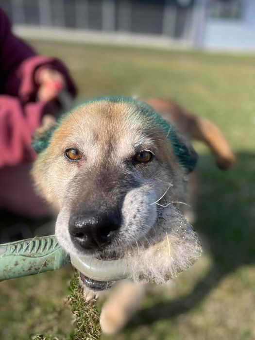 Pomocy ,on nawet nie ma imienia.