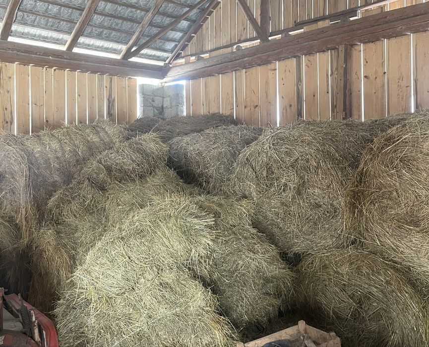 Siano w balotach 120x120