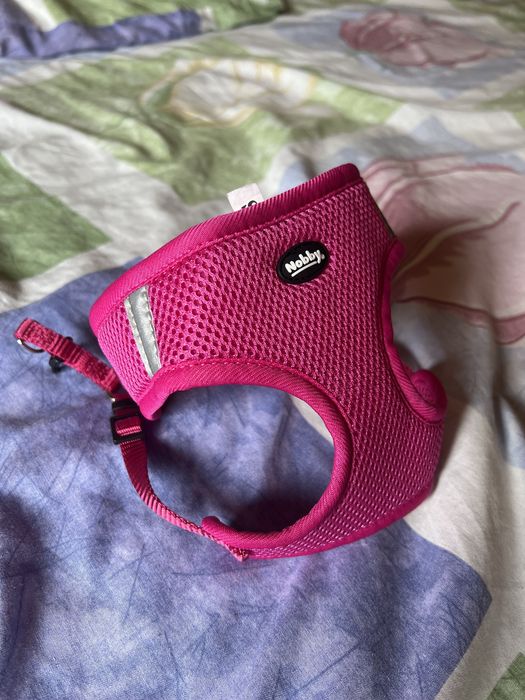 Шлея шлейка размер S для мелких собак Nobby