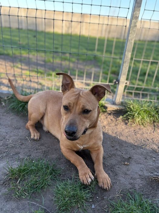 Marzy tylko o jednym – o wolności, miłości i człowieku, który go zrozu