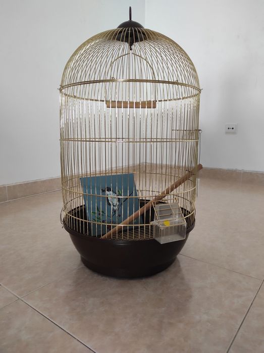 Gaiola para pássaros dourada