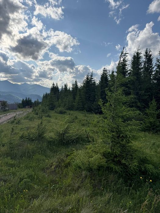 Рівна ділянка, під будову. Межує з лісом. 40 соток в Дземброні