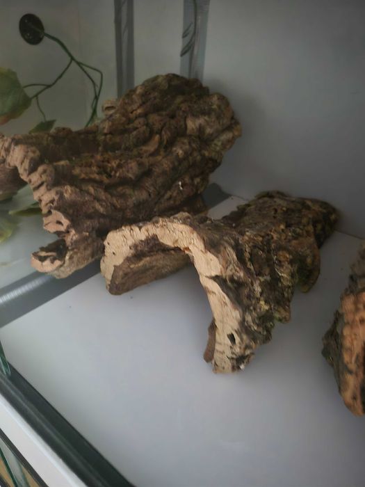 Kryjówki i tuby korkowe