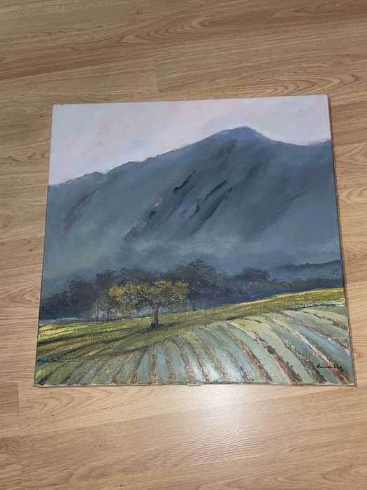 Quadro da natureza 60x60cm