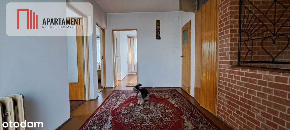 Tylko u nas! Dom, szklarnia, ogród, cisza