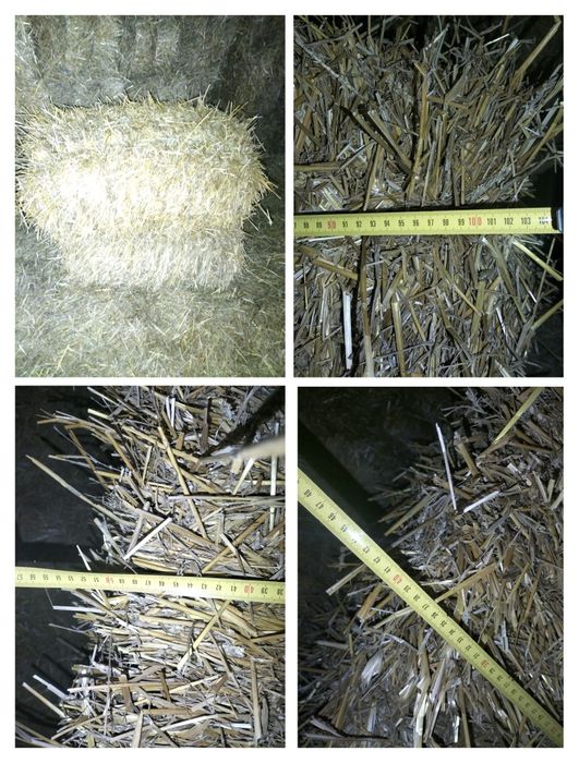 Продам Сіно140 гр та солому70 тюкі великі