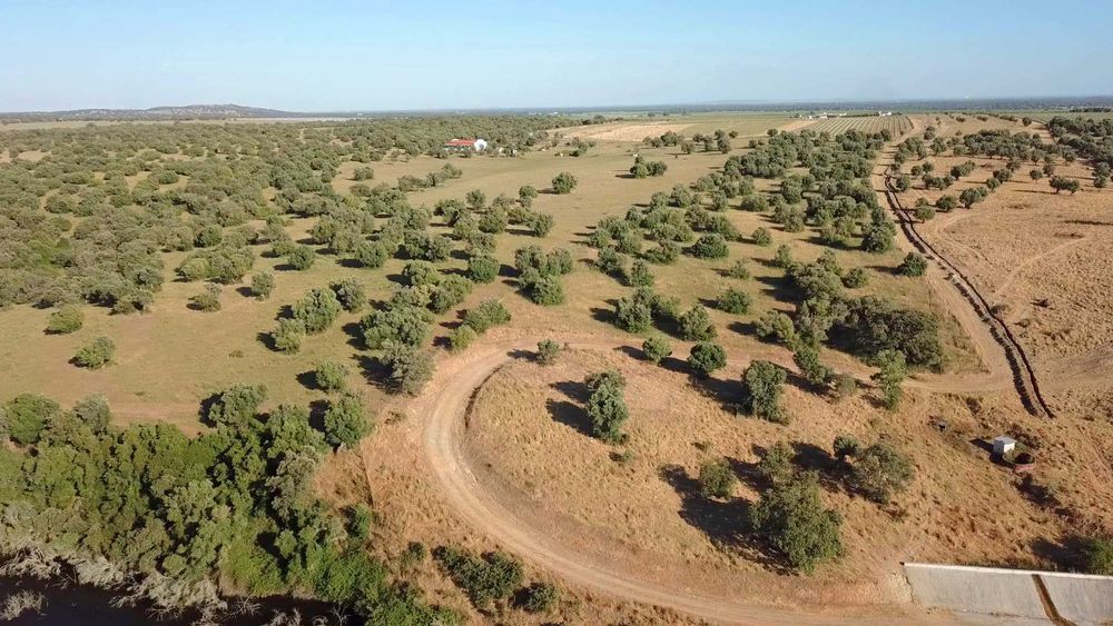 Herdade 12 ha Alentejo