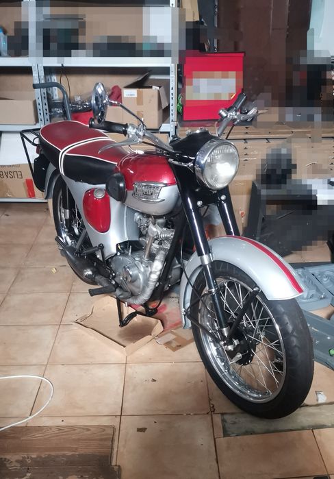 Triumph tiger cub