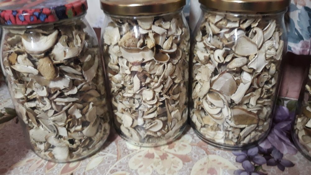 Borowik suszony EXTRA