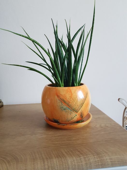 Porcelanowa  doniczka